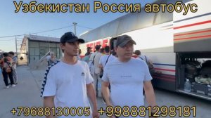 москва ташкент автобус moskva tashkent avtobus