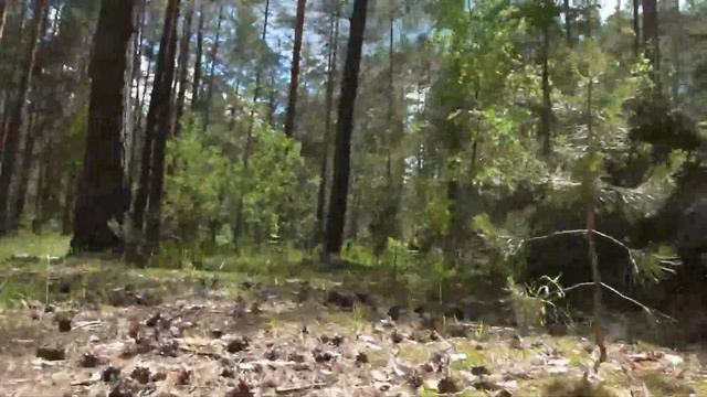 Это не реально забыть😨 Путешествие к  древнему лесному озеру смотреть онлайн