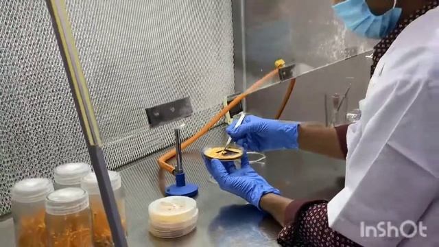 Nu-Prana Cordyceps Growing Facility смотреть онлайн