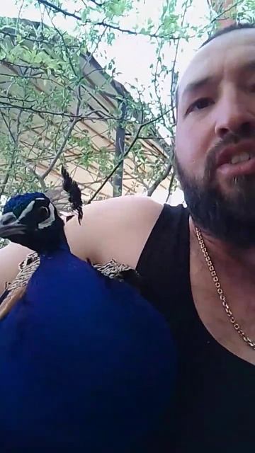 14 апреля 2024 г. смотреть онлайн