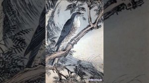 @ Strannik На китайском #Кукушка#💕💕💕🖐️😂😂😄