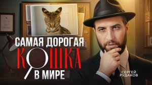 Ашера – гипоаллергенная кошка, или как обмануть всех