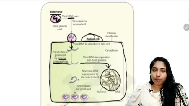 Plus two Biology Board exam Important Questions in Malayalam смотреть онлайн