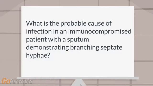 What infection is branching septate hyphae? смотреть онлайн