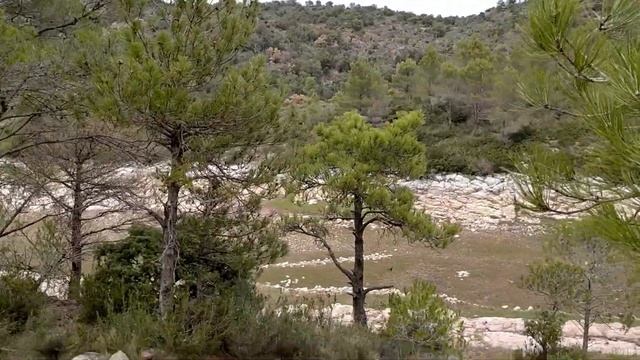 Короткий отчет о прошедшей неделе смотреть онлайн