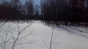 петли на зайца 12032017