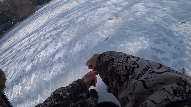 Двух дневная ловля плотвы и краснопёрки из подо льда