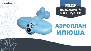 Аэроплан Илюша - пошаговый гайд. Как сделать игрушку из ШДМ (шаров для моделирования)