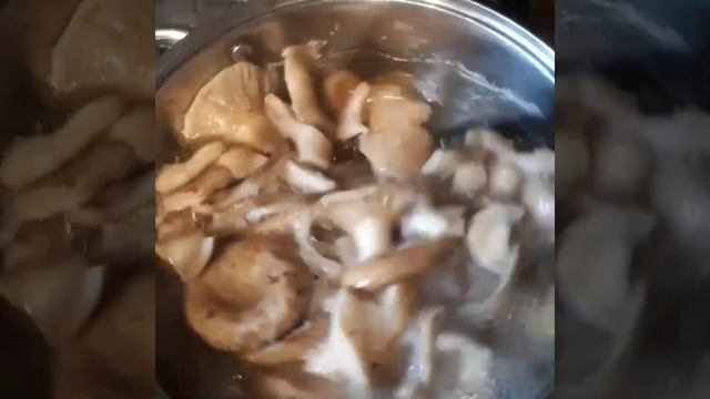 Наивкуснейший рецепт груздей смотреть онлайн