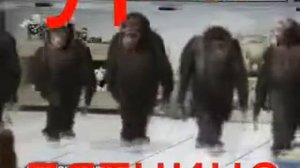 Ура пятница!!!!