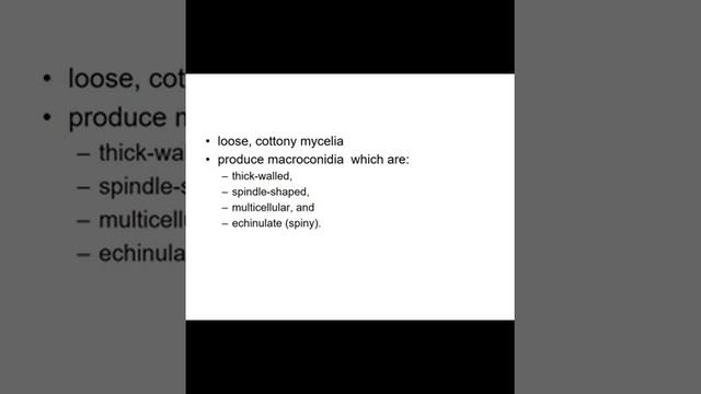Prof. Raziuddin Ahmed  Pathology  3rd year  Sub Cutaneous Mycosis 09.06.2020 Part 2