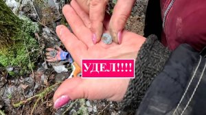 Первый пошел.