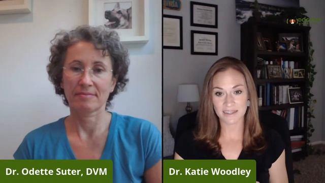 Day 2 Live Q&A With Dr. Katie Woodley & Dr. Odette Suter смотреть онлайн