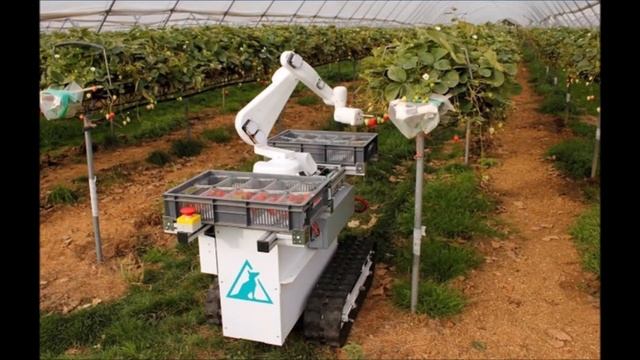 10 роботов для бережного сбора урожая (15.03.2020) смотреть онлайн