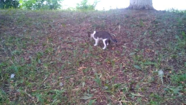 все закончилось хорошо смотреть онлайн