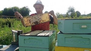 Карника умеет злиться ?