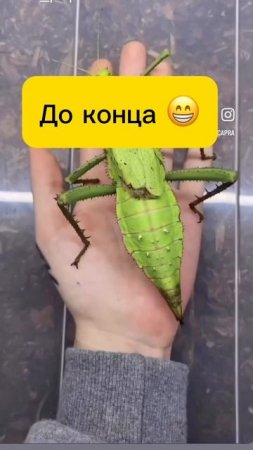 Первая начальная ты 😂😂