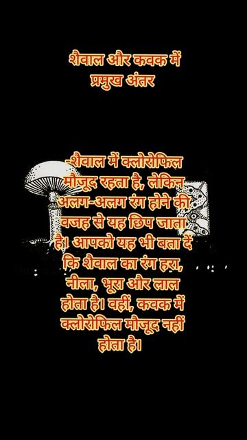 Algae and Fungi #subscribe #short #shortsfeed #shortvideo смотреть онлайн