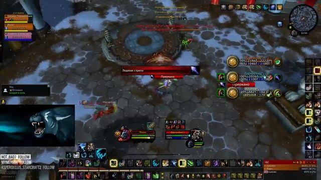 WFeral vs RMDМухомор