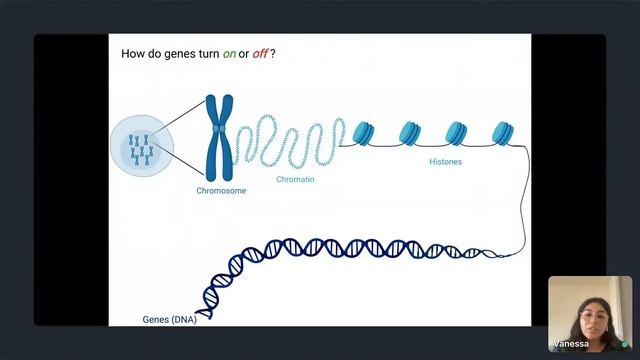 Introduction to Neuroepigenetics (Vanessa B. Sanchez, Neuroscience PhD Candidate)