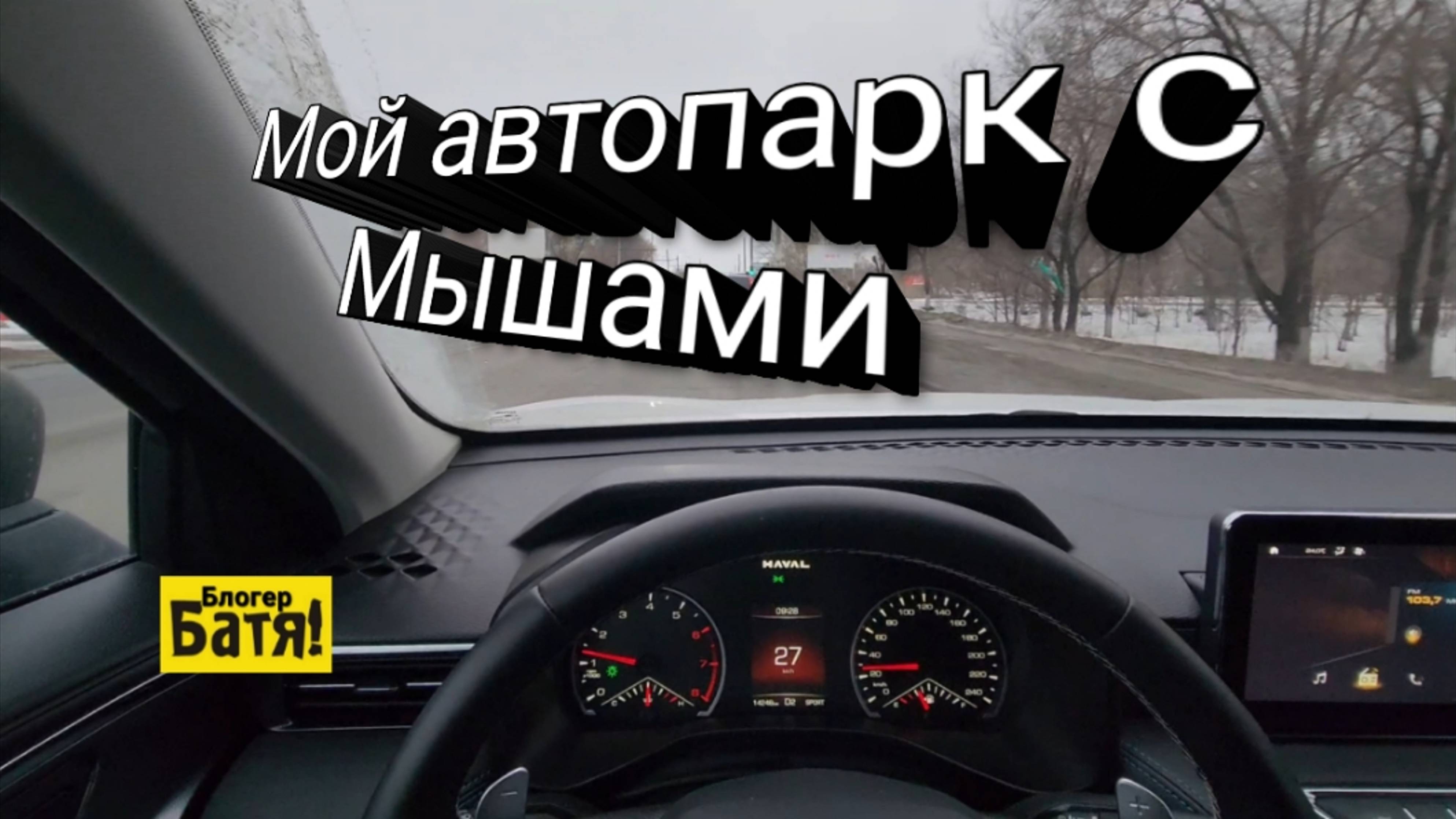 Мойка Джолиона. Т.О Газели. Выселение Мышей.
