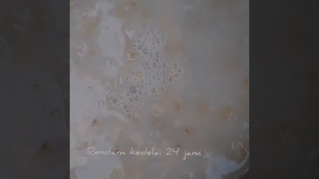 Pembuatan tempe (bioteknologi sederhana)