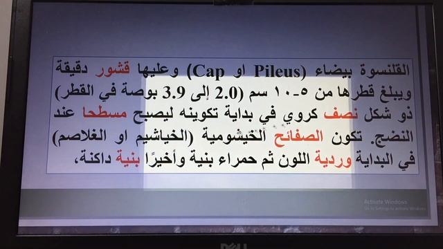Phylum:Basidiomycota/الاستاذ الدكتور هادي علوان محمد الساعدي