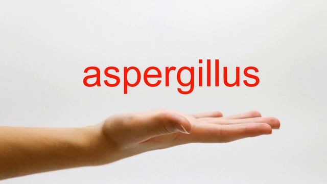 How to Pronounce aspergillus - American English