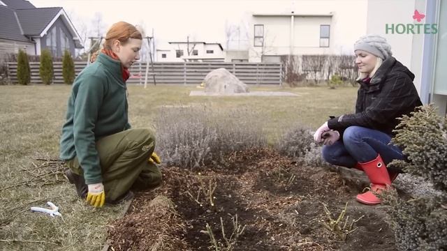 Rooside väetamine смотреть онлайн