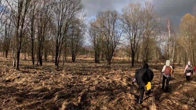 Поход 20 км Ржев-Глэмпинг