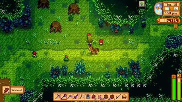 How to get FIDDLEHEAD FERN in Stardew Valley