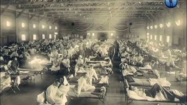 Свиной грипп, Pork flu смотреть онлайн