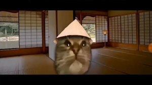 Кiт Кит мав?