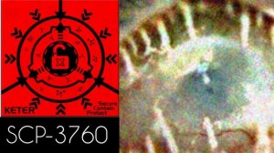 SCP-3760 Я видел эти бездушные глаза. Чёрные, как две пуговицы, глаза. (SCP Fond)