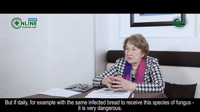 Micromycetes  Life cycle