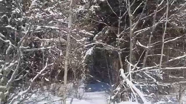 Весенняя история смотреть онлайн