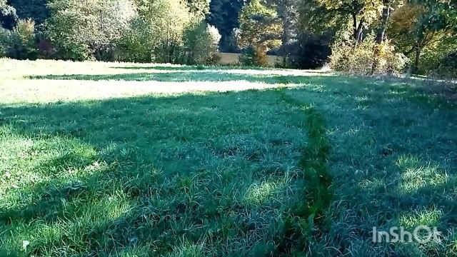 391Прогулка🍁🍂 и снова  грибы 👌 смотреть онлайн