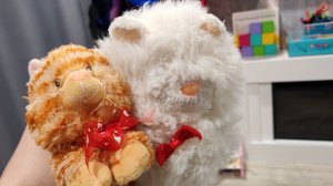 два милых плюшевых котенка общаются и тут вбегает кот Басик и начинает мяукать