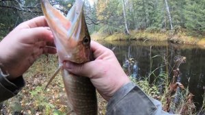 Ловля щуки на таежной речке.