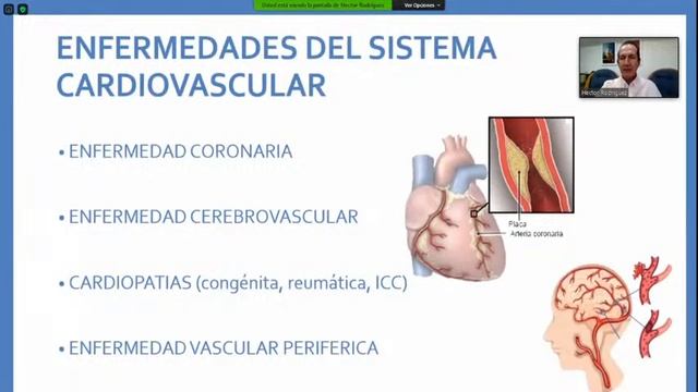 Ganoderma Lucidum en el Sistema Cardiovascular 🍄🐛💊 смотреть онлайн