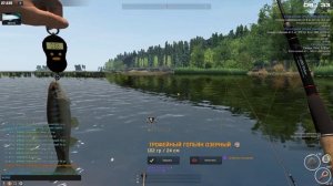 Fisher Online - Фінляндія Гольян Озерний (Гольян Озерный) троф