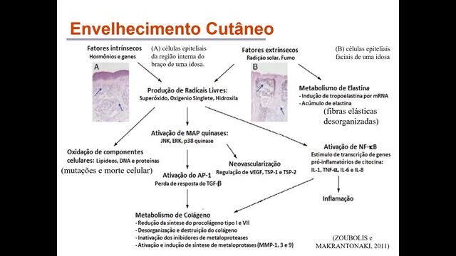 Sala 23 -  BIOTECNOLOGIA DOS COSMÉTICOS editado