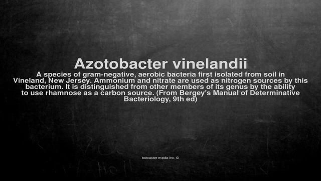 Medical vocabulary: What does Azotobacter vinelandii mean смотреть онлайн