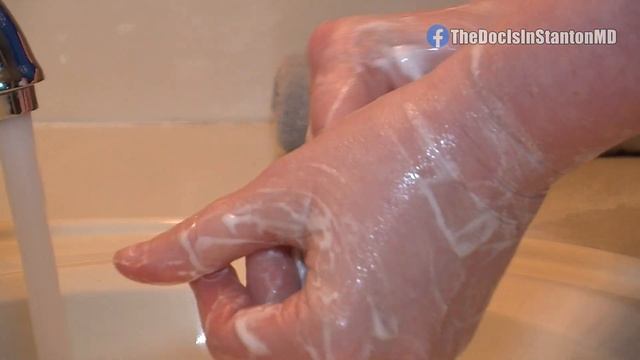 The Doc Is In - Candida Auris