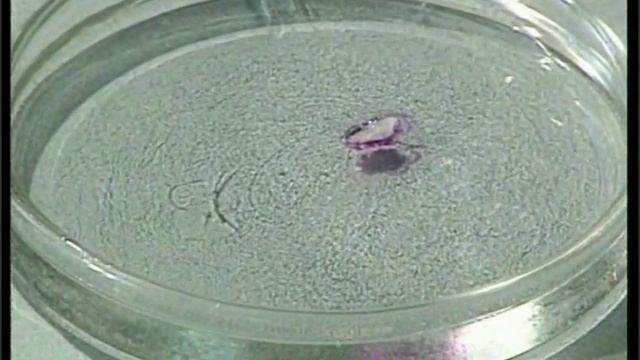 Взаимодействие глицерина с натрием смотреть онлайн