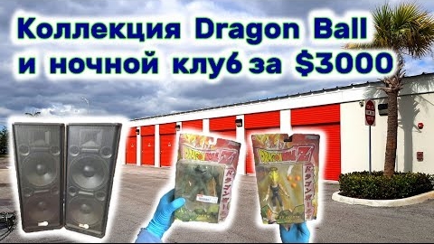 Ночной клуб и коллекция Dragon Ball. Потратили на это $3000. Окупится ли