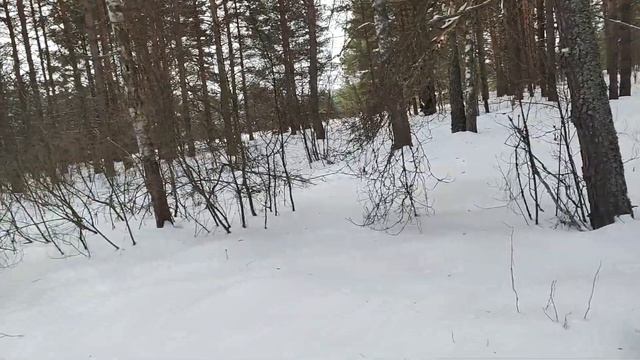 Камшиловский погост смотреть онлайн