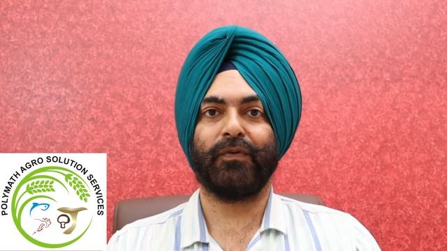 Mushroom Cultivation # FAQ 02 (Punjabi) #ਮਸ਼ਰੂਮ ਦੀ ਕਾਸ਼ਤ ਦੌਰਾਨ, False Truffle ਦਾ ਕੀ ਹੱਲ ਹੈ? смотреть онлайн