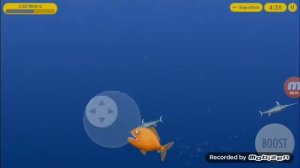 TASTY  BLUE золотая рыбка пожиратель &