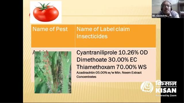 टोमॅटो कीड व रोग व्यवस्थापन- व्हेजनेट मार्गदर्शक смотреть онлайн